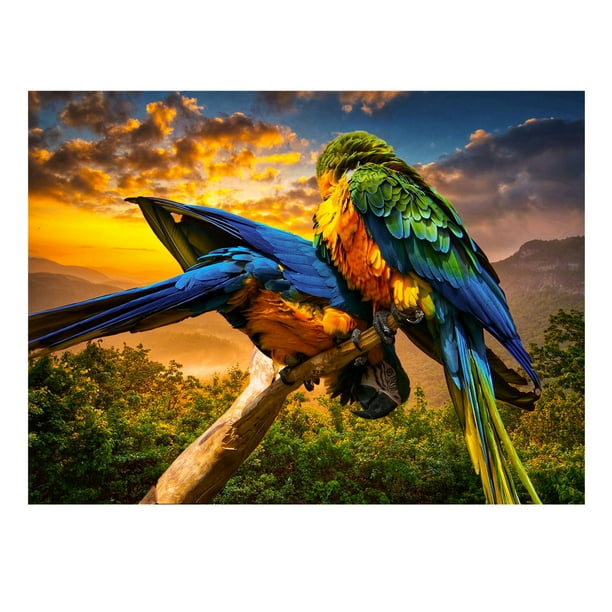 2000 Pieces Wooden Puzzles for Adults-Beautiful Bird-Puzzle Modern Home Decor Unique Gift Intellectual Game Wall Art Picture 2000 Pieces Wooden Puzzles for Adults-Beautiful Bird-Puzzle Modern Home Decor Unique Gift Intellectual Game Wall Art Picture